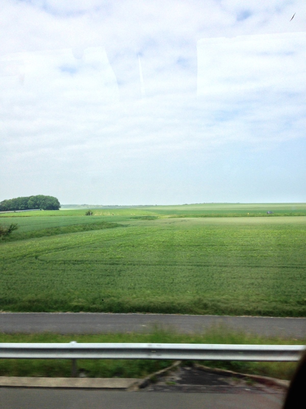 Flanders fields.